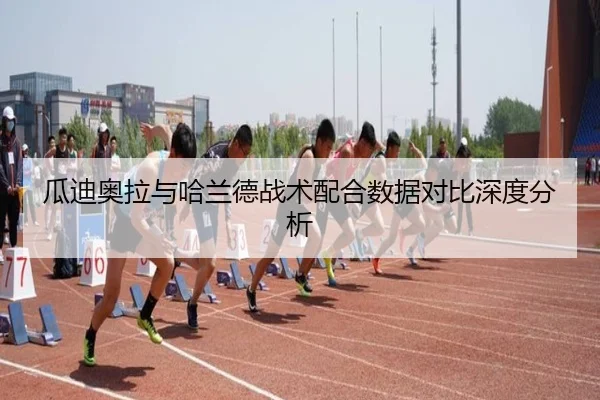 瓜迪奥拉与哈兰德战术配合数据对比深度分析