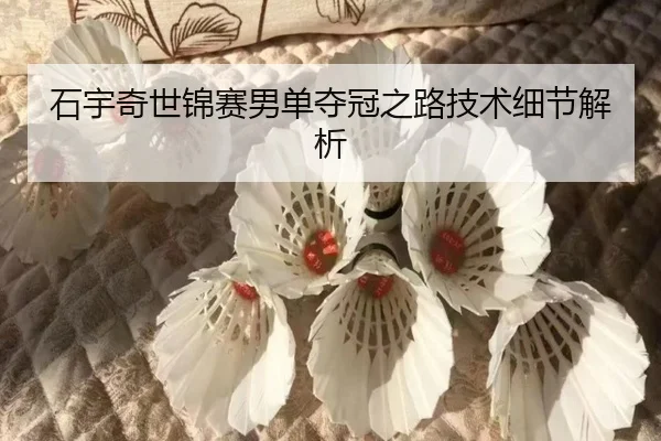 石宇奇世锦赛男单夺冠之路技术细节解析